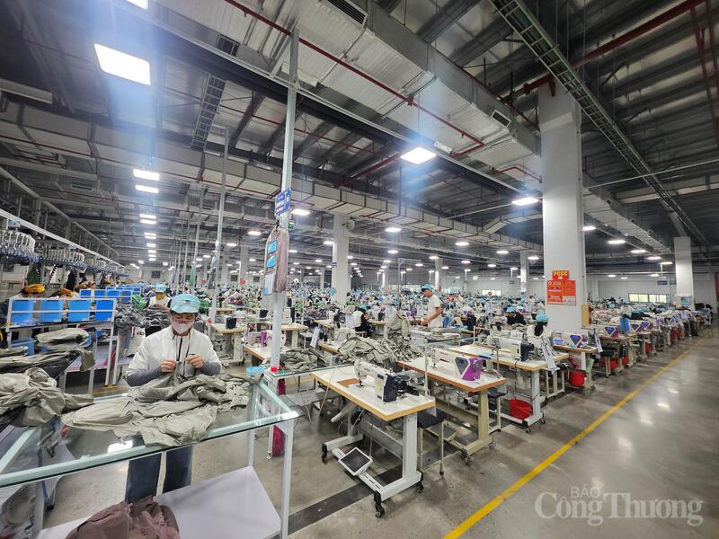 LGG với quy mô 6 xí nghiệp đang tạo việc làm cho gần 7.000 lao động.