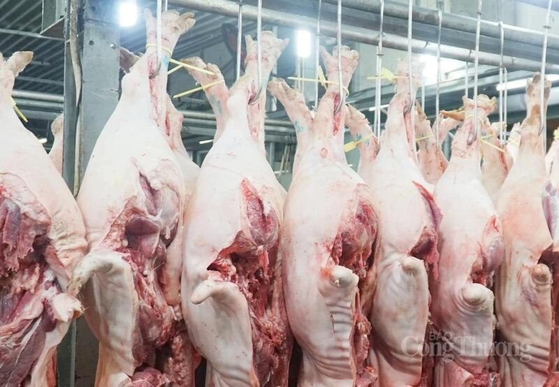 Dự kiến mặt hàng thịt heo, trong hai đêm 28 - 29 tháng Chạp, lượng nhập chợ đầu mối Hóc Môn khoảng 700 tấn, tương đương 9.300 - 10.000 con/đêm, gấp đôi so với ngày thường.