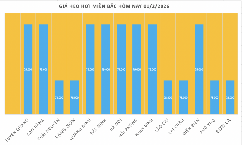 Giá heo hơi hôm nay 01/2/2026: Giữ đà bình ổn - 1