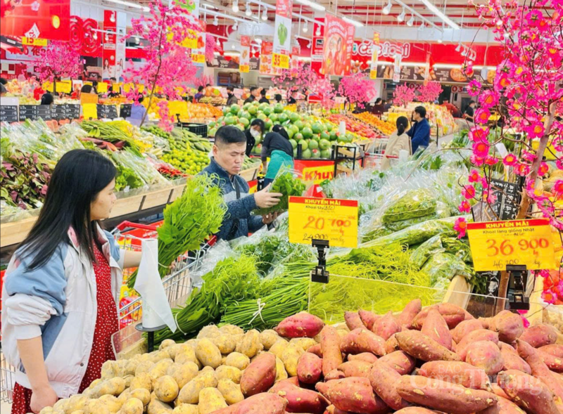 Hệ thống siêu thị GO! cũng đang tập trung cao độ cho công tác đảm bảo vệ sinh an toàn thực phẩm.