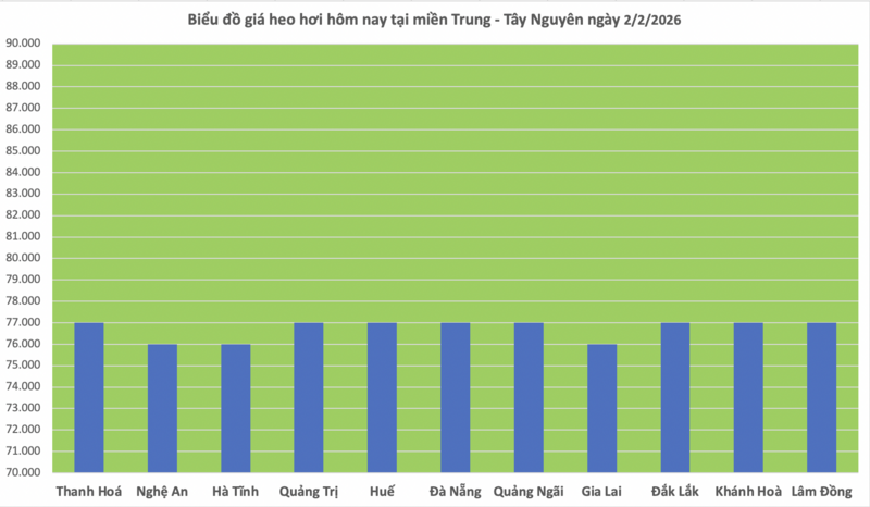 Giá heo hơi hôm nay 2/2/2026: Giảm diện rộng tại miền Bắc, miền Trung - 2