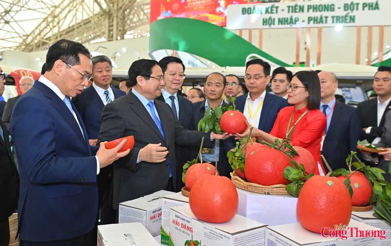 Thủ tướng bày tỏ ấn tượng với sản phẩm bưởi đỏ, loại cây ăn quả đặc sản có giá trị kinh tế cao của địa phương. Bưởi đỏ Thanh Hóa có màu sắc đặc trưng, múi đỏ hồng, vị ngọt thanh, được người tiêu dùng ưa chuộng trong những năm gần đây. Thủ tướng đánh giá cao nỗ lực của tỉnh trong việc phát triển vùng trồng tập trung, áp dụng tiến bộ kỹ thuật vào sản xuất, từng bước xây dựng thương hiệu cho sản phẩm.