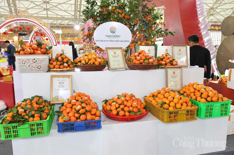 Cam Nam Đồng, xã Nam Đồng, Hưng Yên là sản phẩm nông nghiệp tiêu biểu của địa phương, nổi bật với vị ngọt thanh, mẫu mã đẹp, được trồng tập trung theo hướng an toàn, phục vụ thị trường dịp Tết. Ảnh: Quỳnh Trang