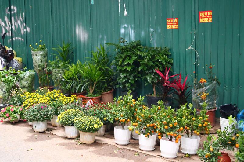 Chùm ảnh: Thị trường hàng hóa sôi động ngày rằm tháng Chạp - 4