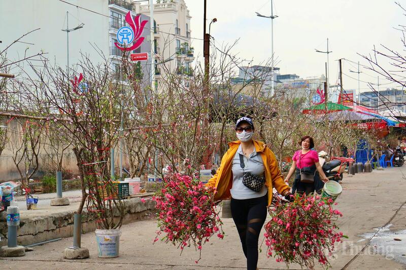 Hoa đào xuống phố ngày rằm tháng Chạp có giá khá rẻ, chỉ từ 50.000 - 150.000 đồng/cành, thu hút đông đảo người dân chọn mua sớm.