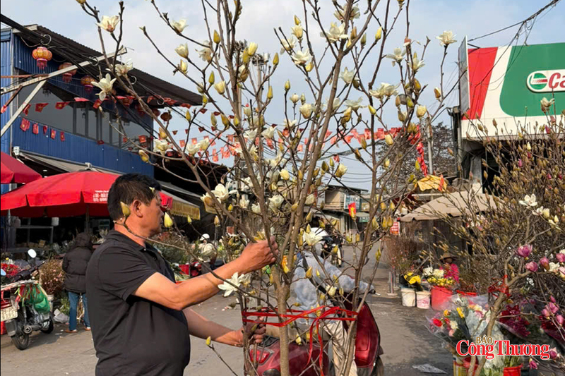 Anh Nguyễn Đức Thanh đang bó một cành mộc lan trắng chuẩn bị giao cho khách hàng. Ảnh: Nguyễn Thanh