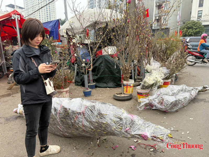 Một cành hoa mộc lan được bó gọn gàng để vận chuyển. Ảnh: Nguyễn Thanh