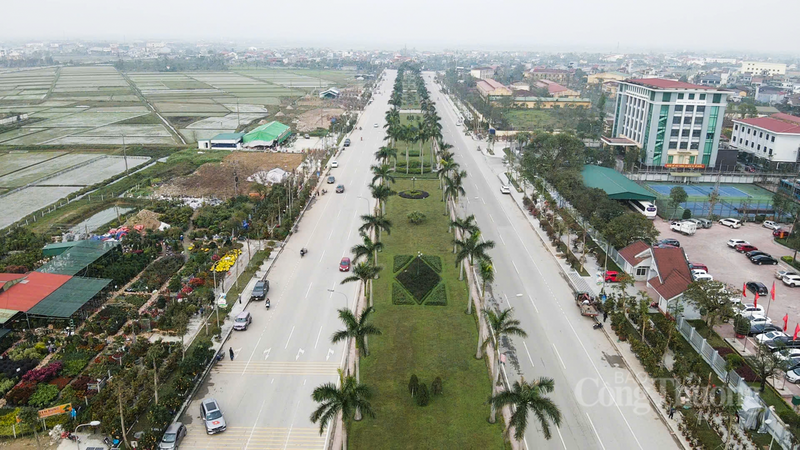 Những ngày giáp tết Nguyên đán 2026, tuyến đường Xô Viết Nghệ Tĩnh (phường Thành Sen, Hà Tĩnh) tràn ngập màu sắc bởi cây cảnh từ tứ phương đổ về.