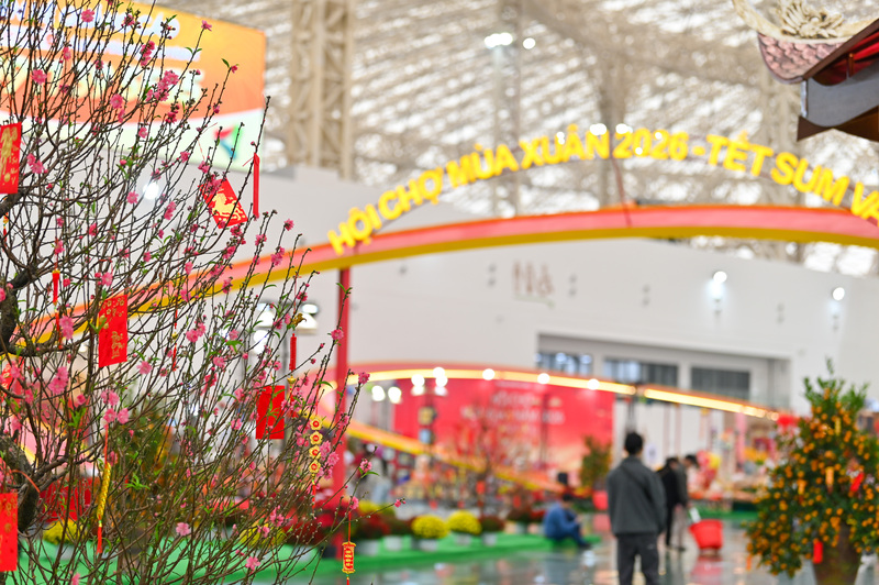 Sắc màu hoa đào Nhật Tân - quất Tứ liên được sắp đặt khắm các phân khu.