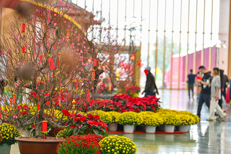 Những con đường hoa đào được bố trí khoa học giúp người dân có thể chụp những bức ảnh đẹp nhất, đậm sắc xuân nhất.