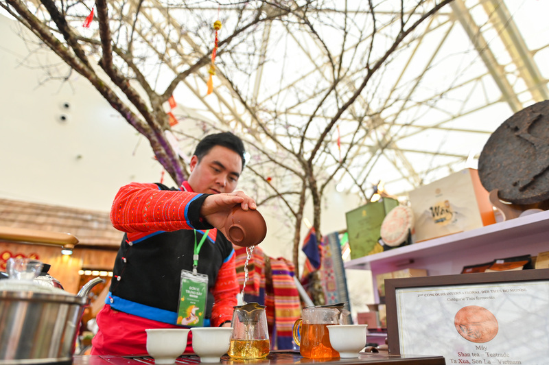 Du khách có thể tưởng thức những dòng trà ngon của Son La dưới gốc hoa đào cổ.