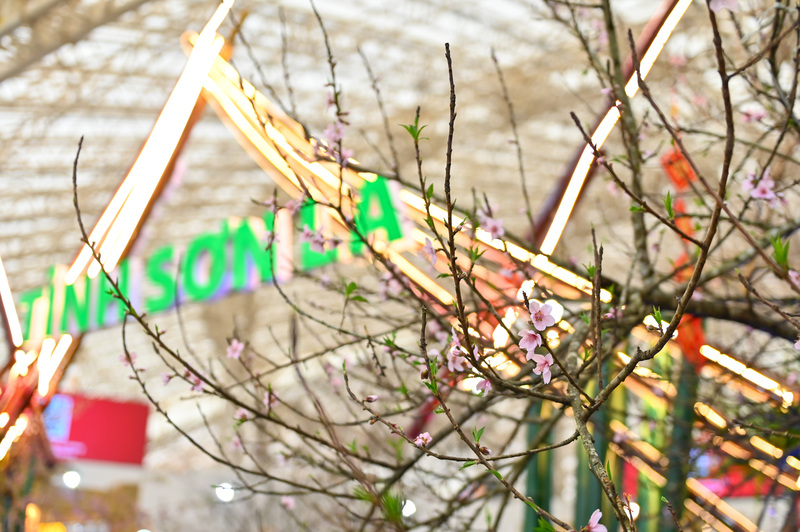 Sắc xuân rực rỡ lan toả khắc hội chợ.