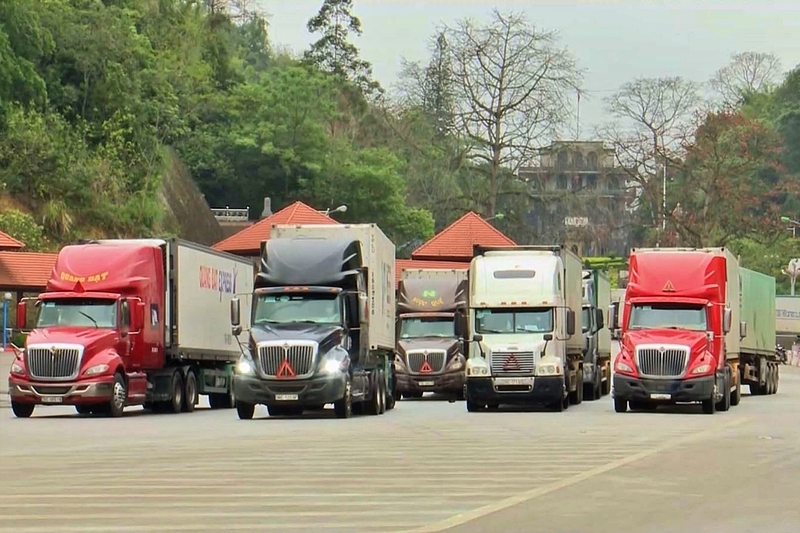 Thủ tướng chỉ đạo tháo gỡ vướng mắc trong triển khai Nghị định 46/2026/NĐ-CP về an toàn thực phẩm. Ảnh: NNVN