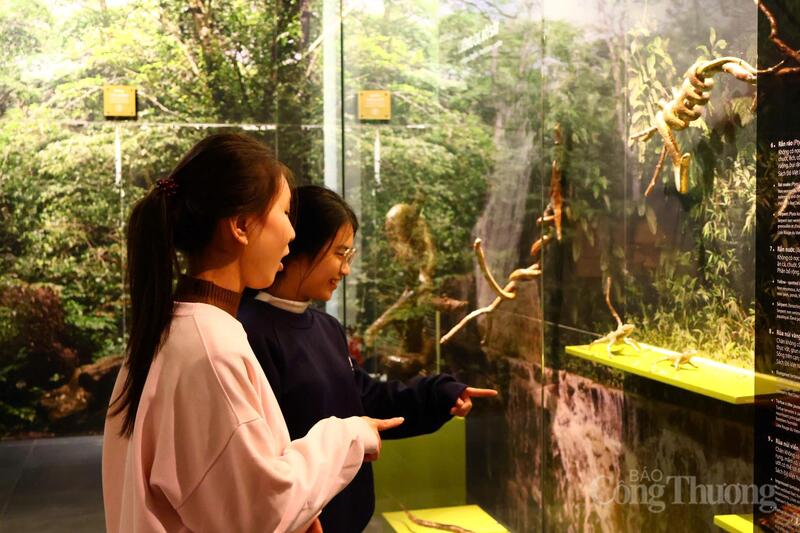 Bạn Đậu Anh Thư (18 tuổi, đến từ Nghệ An) bày tỏ: "Em thấy rất hào hứng khi khám phá ý nghĩa của các linh vật trưng bày tại bảo tàng. Những đường nét chạm khắc tinh xảo khiến chúng em trầm trồ".