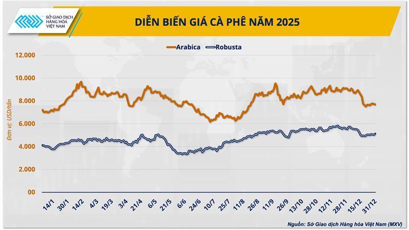 Diễn biến giá cà phê năm 2025 (Nguồn: MXV)