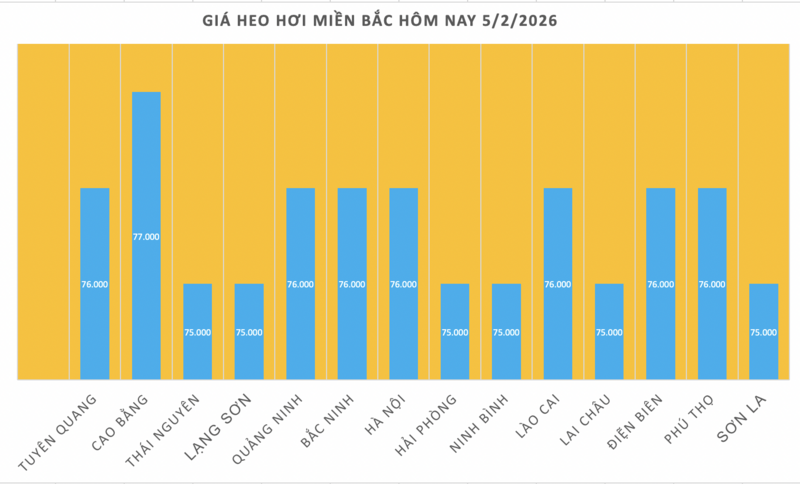 Giá heo hơi hôm nay 5/2/2026: Giảm diện rộng - 1