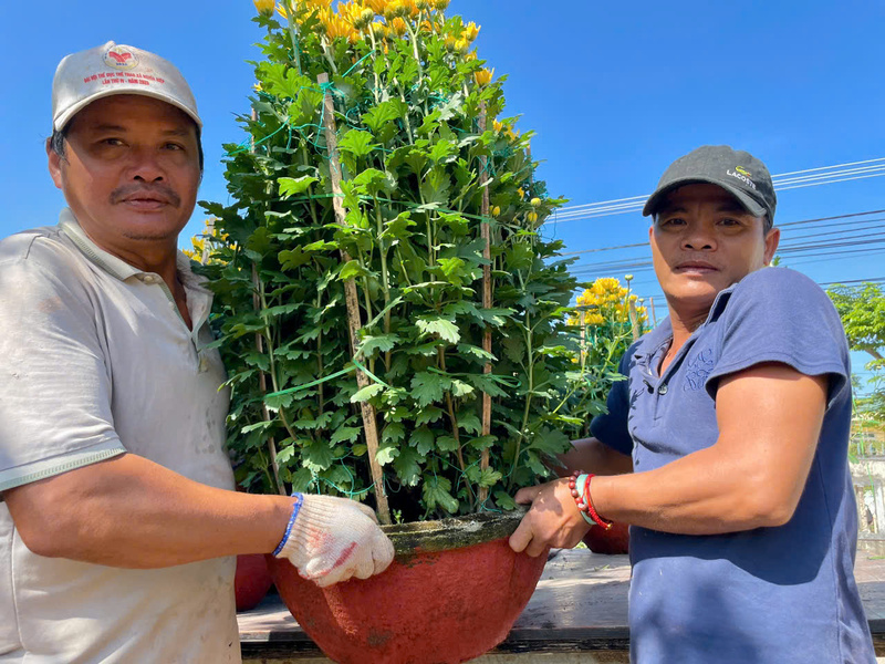 Không chỉ những người nông dân mà những người vận chuyển cũng rất phấn khởi vì năm nay giá tiền công cũng được nâng lên khá cao.