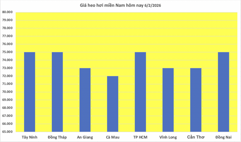 Giá heo hơi hôm nay 6/2/2026: Giảm nhiều nơi - 3