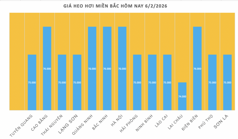 Giá heo hơi hôm nay 6/2/2026: Giảm nhiều nơi - 1