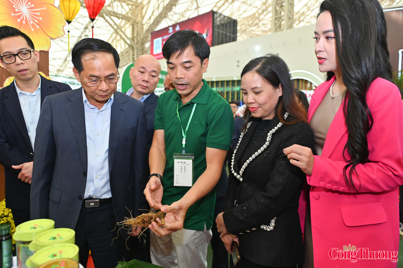 Phó Thủ tướng nghe giới thiệu về Sâm Ngọc Linh của Đà Nẵng.