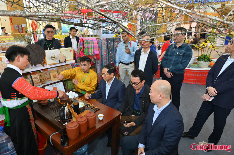 Dưới gốc đào cổ của tỉnh Sơn La, các đại biểu ngồi thưởng trà cổ San Tuyết.