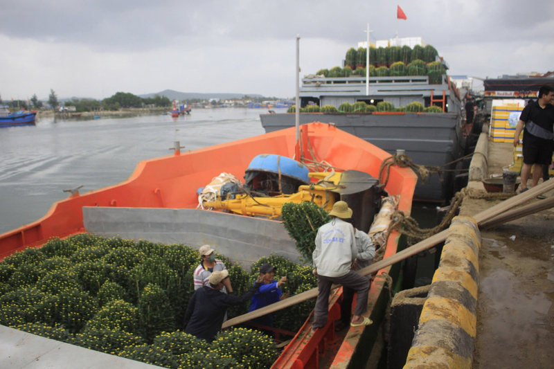 Không khí Tết sớm đang đến với Lý Sơn. Ảnh: Nguyễn Dương