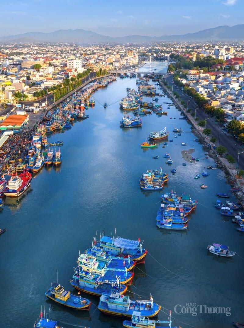 Lâm Đồng đang trở thành điểm sáng của cả nước trong nỗ lực thực hiện các quy định pháp luật trong công tác chống khai thác hải sản bất hợp pháp, không báo cáo và không theo quy định (IUU). Ảnh: Lê Sơn