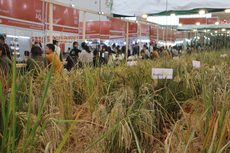 Công ty Cổ phần O Plant-Based giới thiệu nguyên liệu gạo sản xuất bánh mỳ tại Hội chợ Mùa Xuân. Ảnh: H.Q