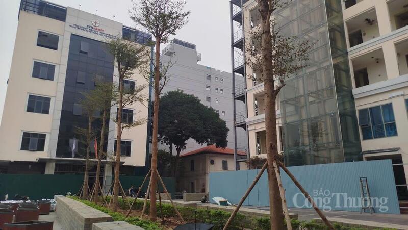 Một số cây xanh đã được trồng trong khu vực thực hiện dự án.