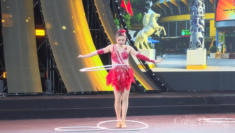 Các tiết mục được trình diễn bởi các nghệ sĩ đến từ Liên đoàn Xiếc Việt Nam.