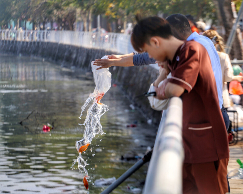 Người dân thả cá chép tiễn ông Công ông Táo về trời, cầu mong một năm tết Nguyên đán hanh thông, thuận lợi. Ảnh: Tuấn Đức/TTXVN.