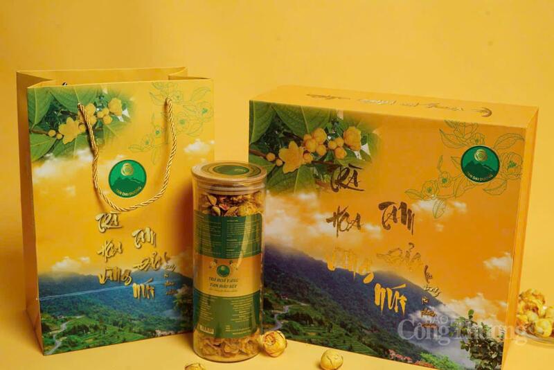 Sản phẩm trà hoa vàng của Công ty TNHH Tân Đại Dương Vĩnh Phúc (tỉnh Phú Thọ) đạt OCOP 4 sao.