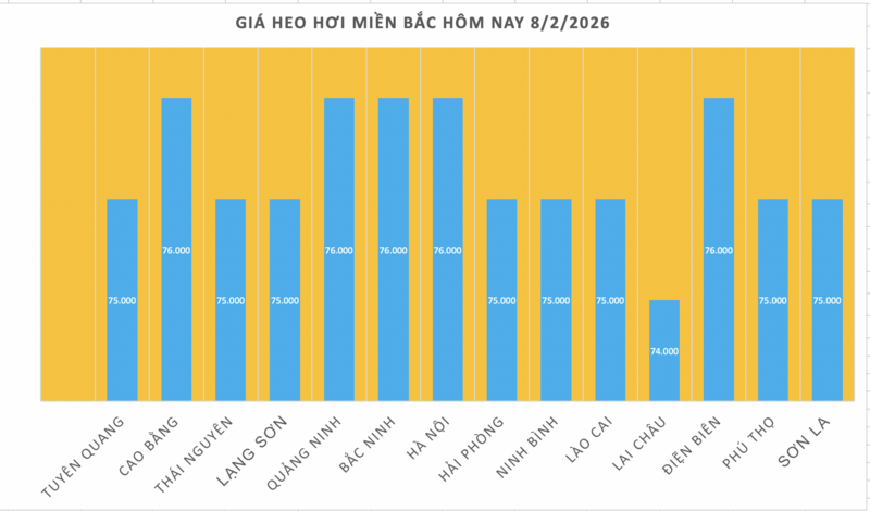 Giá heo hơi hôm nay 8/2/2026: Tạm chững lại - 1