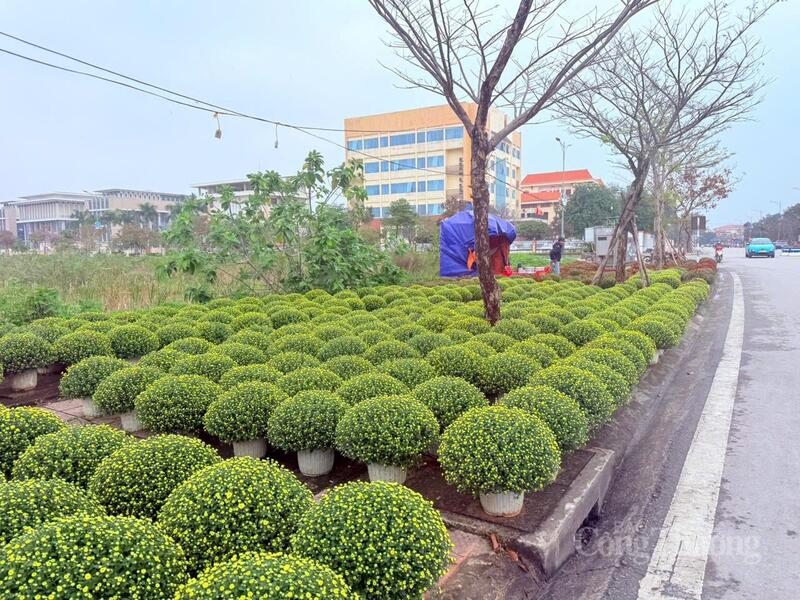 Một điểm bán hoa tại trung tâm phường Đồng Hới.