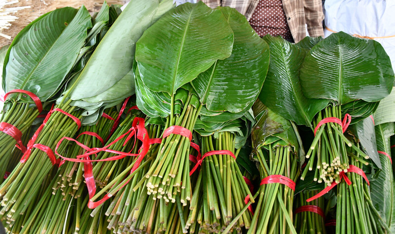 Giá bán lá dong năm nay khá đa dạng, tùy theo kích cỡ lá. Mỗi bó 50 lá có giá từ 30.000 đồng, 50.000 đồng, 60.000 đồng, 80.000 đồng, 100.000 đồng đến 130.000 đồng. Ảnh: Thanh Minh