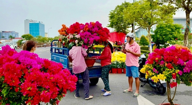 Nhộn nhịp khi c&aacute;c nh&agrave; vườn, tiểu thương đồng loạt đưa hoa, c&acirc;y kiểng ra phố