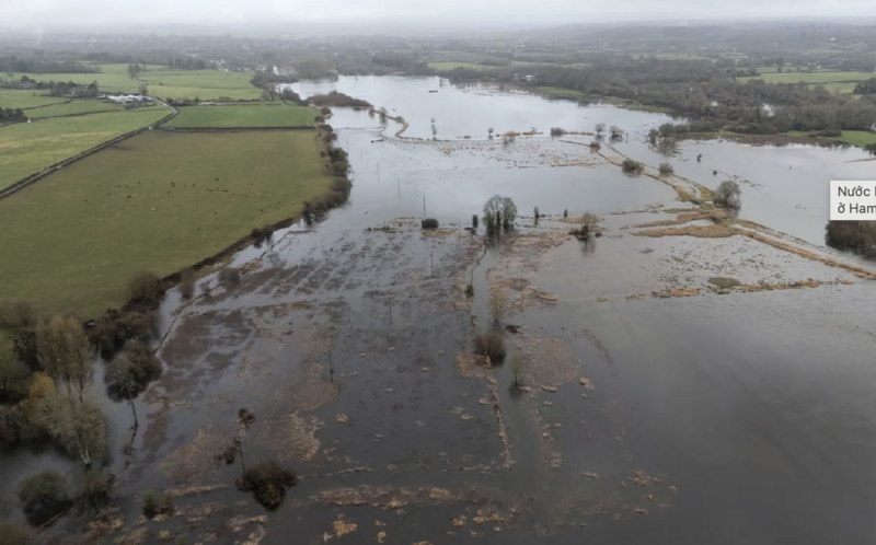 Nước lũ bao phủ các cánh đồng gần Harbridge ở Hampshire, Anh. Ảnh: PA