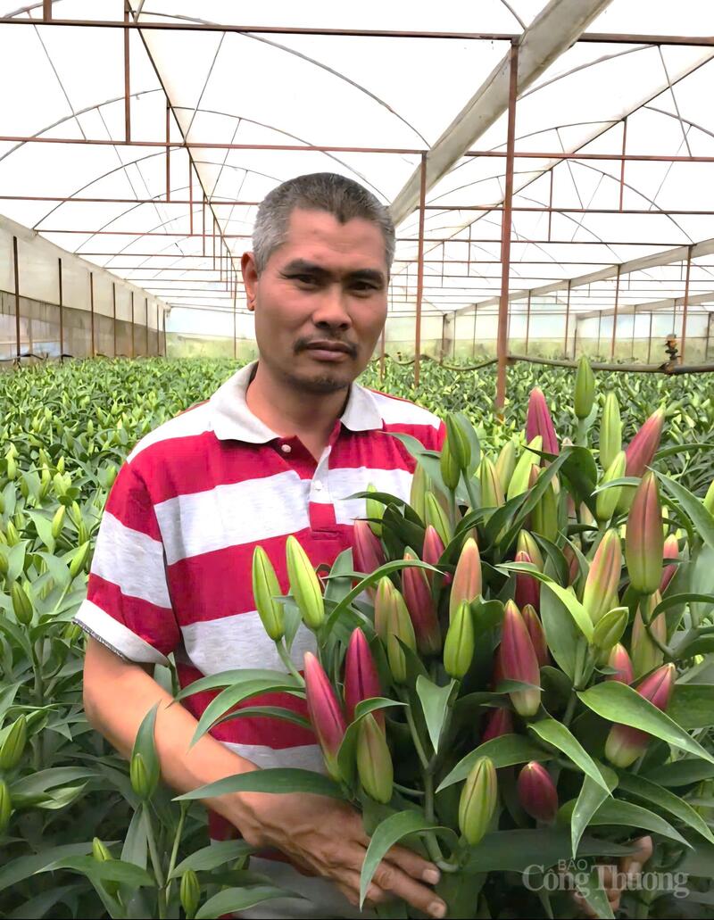 Ông Phan Văn Quý, người trồng hoa tại làng hoa Vạn Thành (phường Cam Ly, Đà Lạt). Ảnh: Lê Sơn