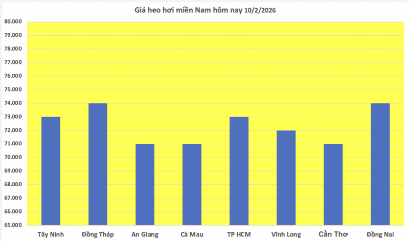 Giá heo hơi hôm nay 10/2/2026: Tiếp đà giảm diện rộng - 3