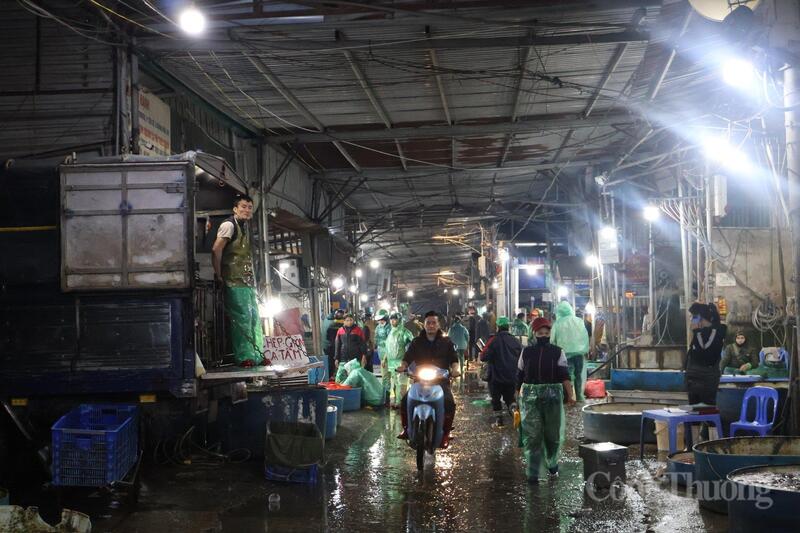 Chợ cá Yên Sở (Hà Nội) bước vào cao điểm tiêu thụ cá chép đỏ lớn nhất trong năm.