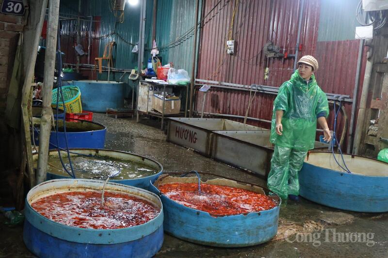 Chợ cá lớn nhất miền Bắc nhộn nhịp trong ngày tiễn ông Công ông Táo - 7