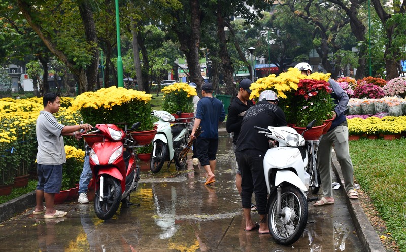 TP. Hồ Chí Minh: Nhộn nhịp chợ hoa tết Bính Ngọ 2026 - 20