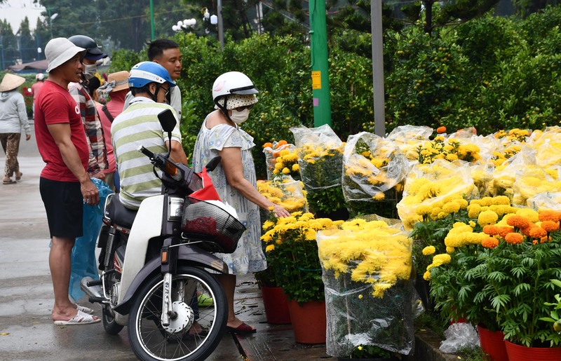TP. Hồ Chí Minh: Nhộn nhịp chợ hoa tết Bính Ngọ 2026 - 15
