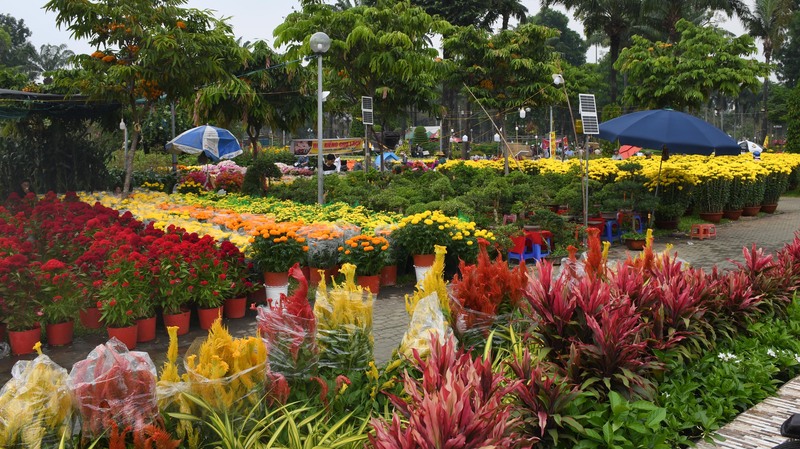 TP. Hồ Chí Minh: Nhộn nhịp chợ hoa tết Bính Ngọ 2026 - 6