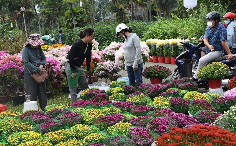 TP. Hồ Chí Minh: Nhộn nhịp chợ hoa tết Bính Ngọ 2026 - 18