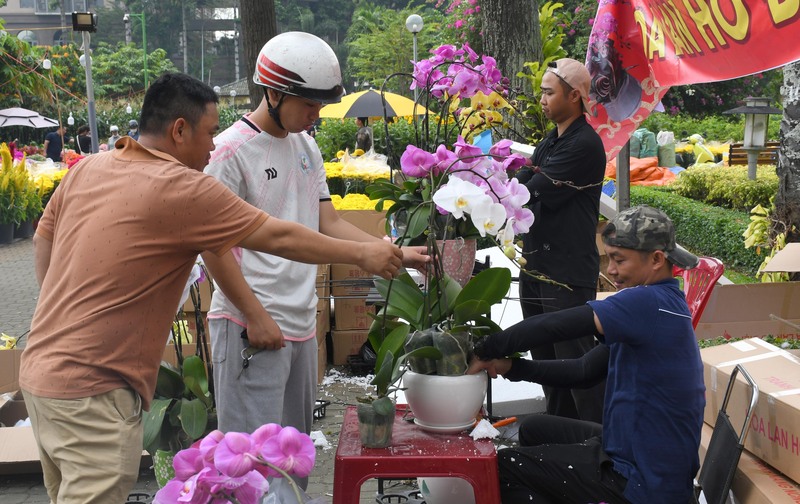 TP. Hồ Chí Minh: Nhộn nhịp chợ hoa tết Bính Ngọ 2026 - 7