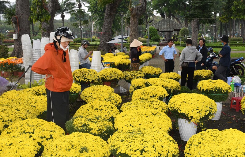 Đến thời điểm này các chợ hoa Tết trên địa bàn TP, Hồ Chí Minh diễn ra với không khí sôi động, tràn ngập sắc xuân. Ảnh: Thanh Minh.