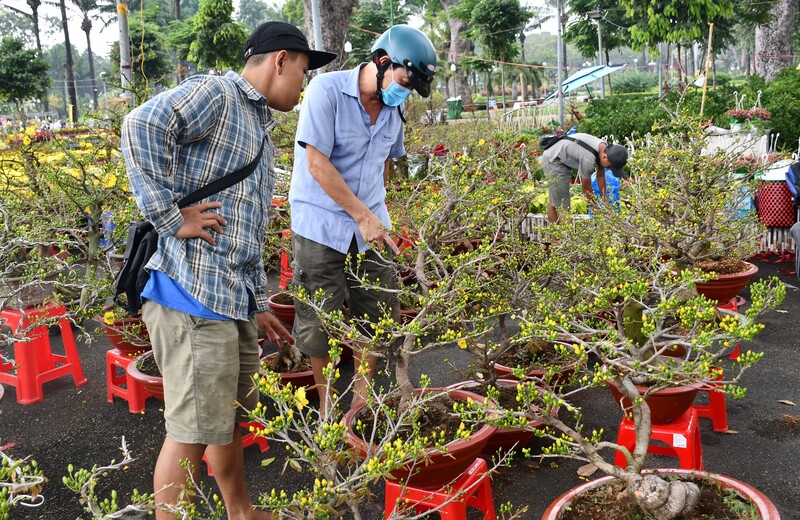 Với người dân miền Nam, mai vàng luôn là loại cây hút khách nhất tại chợ hoa Tết. Ảnh: Thanh Minh.