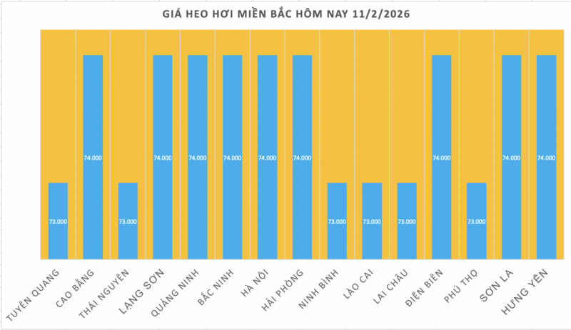 Giá heo hơi hôm nay 11/2/2026: Giảm đồng loạt trên cả nước - 1