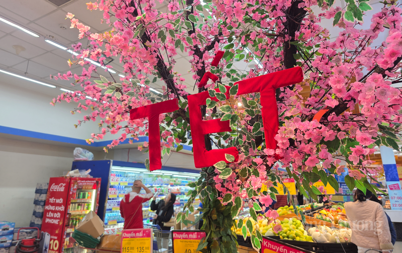 Trung tâm thương mại, siêu thị ở Hà Tĩnh tràn ngập sắc xuân - 12